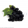 Виноград черный, глянцевый, 80-85 каплевидных ягод, кисть L=260 мм (муляж)