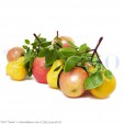 Ассорти яблок и груш в связке (муляж), L=400 мм, 9 плодов