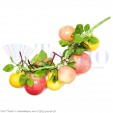 Ассорти яблок и груш в связке (муляж), L=400 мм, 9 плодов