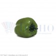 Перец зеленый, 80х70 мм (муляж)