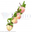 Персики в связке (муляж)