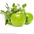 Яблоки зеленые крупные в связке (муляж)