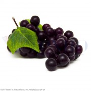 Виноград бордово-фиолетовый, глянцевый, 80-85 круглых ягод, кисть L=250 мм (муляж)