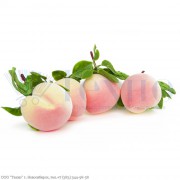 Персики в связке (муляж)