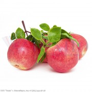 Яблоки красные крупные в связке (муляж)